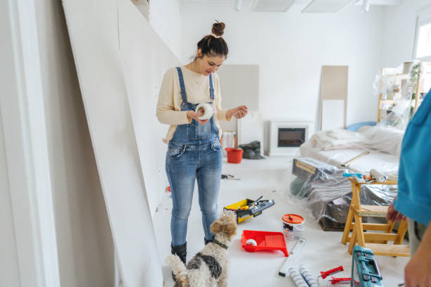 Best Ceiling Drywall Installation  in Spring Green, WI